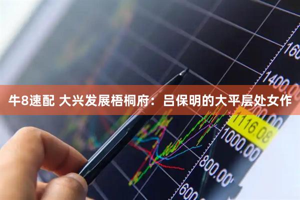 牛8速配 大兴发展梧桐府：吕保明的大平层处女作