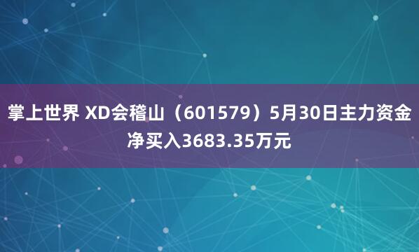 掌上世界 XD会稽山（601579）5月30日主力资金净买入3683.35万元