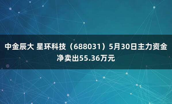 中金辰大 星环科技（688031）5月30日主力资金净卖出55.36万元